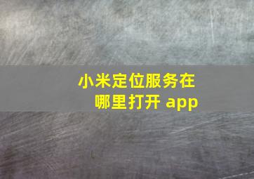 小米定位服务在哪里打开 app